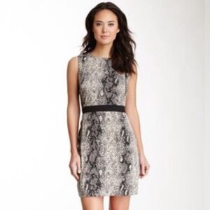 W.B.G by WALTER G. BAKER LILLIE DRESS      NEW CONDITION